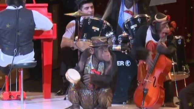 Цирк. Звёзды манежа смотреть онлайн