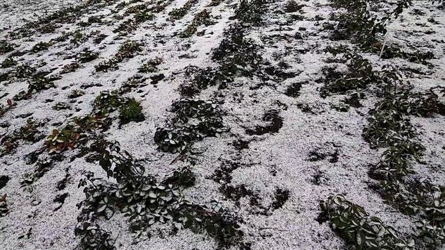 ✓1047. Ну вот и первый снег. Улучшение инфракрасной горелки. смотреть онлайн