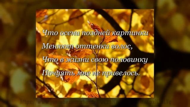 Не выгляжу вовсе моложе ... Стихи. смотреть онлайн