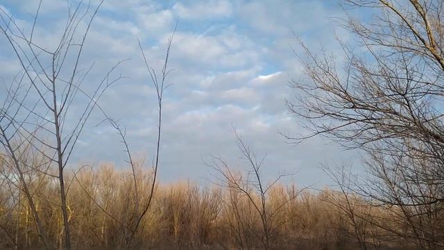 Степь Зимой смотреть онлайн