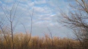 Степь Зимой