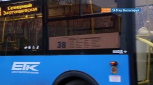 Нелегальную маршрутку арестовали в Белгороде