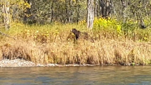 ПУТЕШЕСТВИЕ ПО КАМЧАТКЕ / ВЕРТОЛЕТ / ИКРА / МЕДВЕДИ / КАМЧАТКА 2020 смотреть онлайн