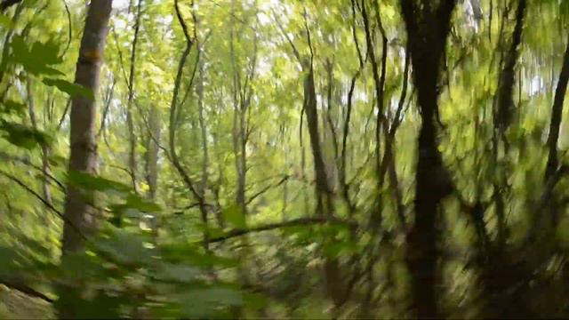 Поход в Черный Лес смотреть онлайн