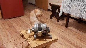 Подключение двигателя с регулятором оборотов (димер)