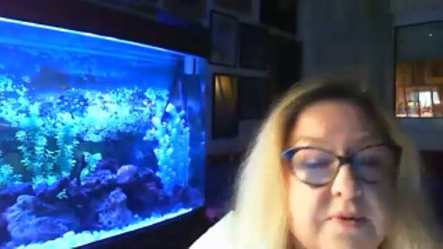 Видеозапись - Любовь в замкнутом пространстве Наши дети в карантине смотреть онлайн