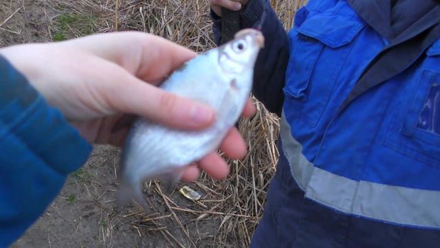 РЫБАЛКА НА ПОПЛАВОК ВЕСНОЙ 2022. ЛОВЛЯ В КАМЫШАХ! ПОШЁЛ СУДАК, УДАЧНАЯ РЫБАЛКА! смотреть онлайн