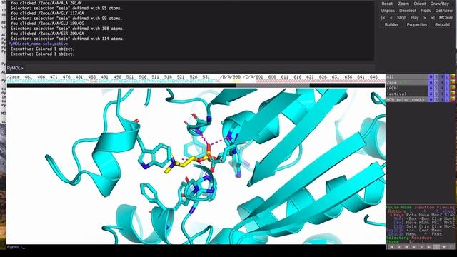 PyMOL: Active Sites in Minutes (Using only Sequence Info!) смотреть онлайн