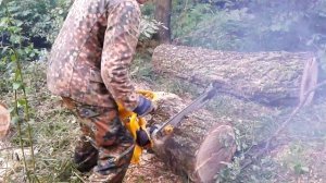 бензопила "дружба алтай"