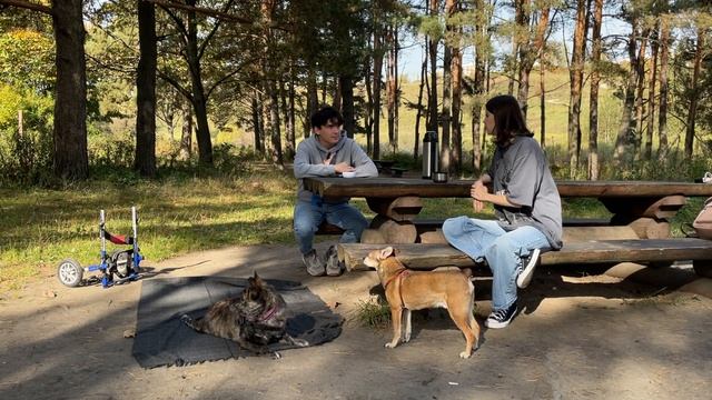 ЖИЗНЬ СО СПИНАЛЬНИКОМ ОТ ЛИЦА МУЖА | ПИКНИК С СОБАКАМИ