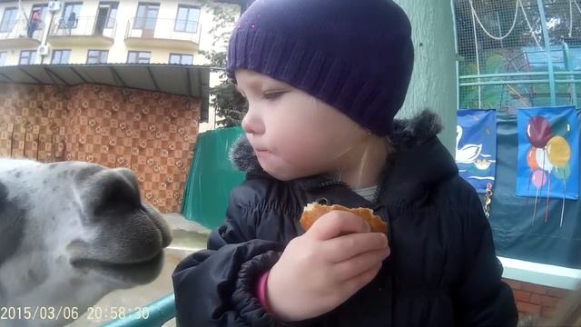 Мариэль с семьей в Зоопарке! смотреть онлайн