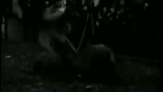 Они были первыми.mpg смотреть онлайн