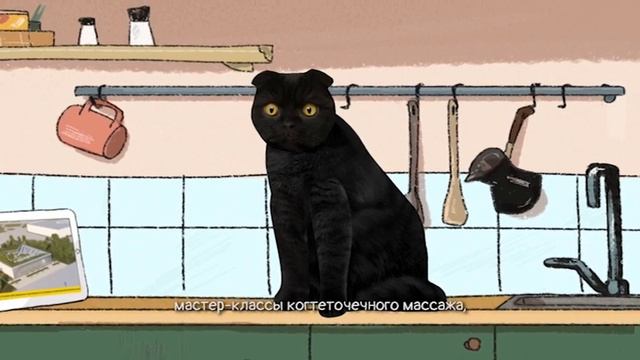 КОТОВОДСТВО - Кот Бублик смотреть онлайн