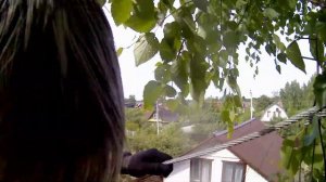 Зиплайн на даче / Тарзанка своими руками / Разговор с отцом