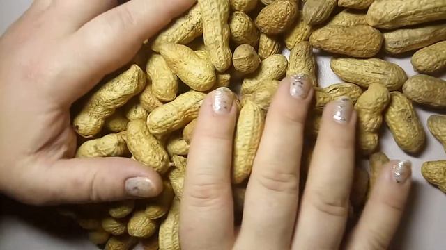 Nuts ASMR. Много орехов асмр смотреть онлайн