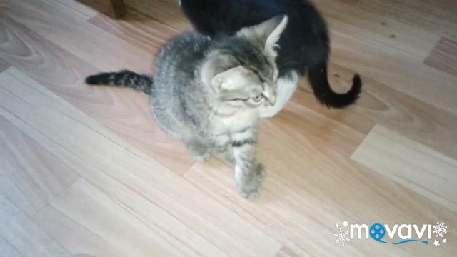 Обычный день в деревне!!! смотреть онлайн