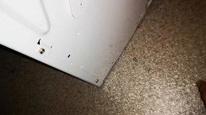 Диагностика сушильной машины, не греет.