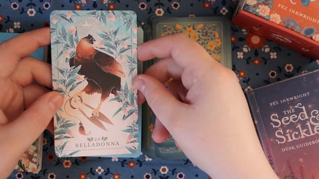 The Seed and Sickle Oracle Deck | A first look at a plant-based Oracle смотреть онлайн