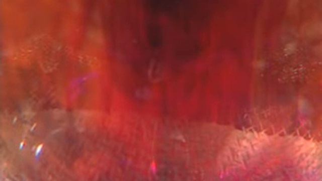 Видео материал Физика 8 класс Тепловая энергия Конвекционные потоки в воде с марганцовкой 1 смотреть онлайн