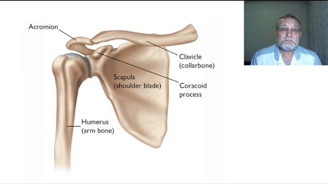 Боль в плече