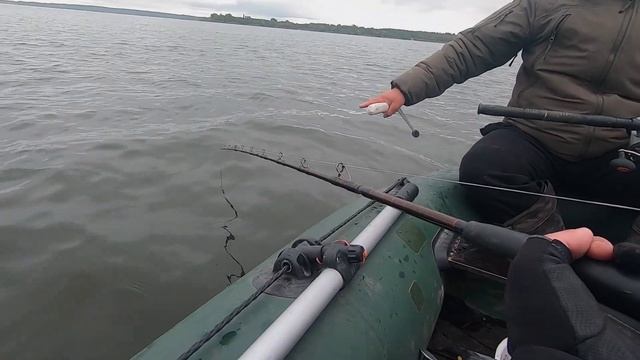 Правильная подсечка сома при ловле на квок смотреть онлайн