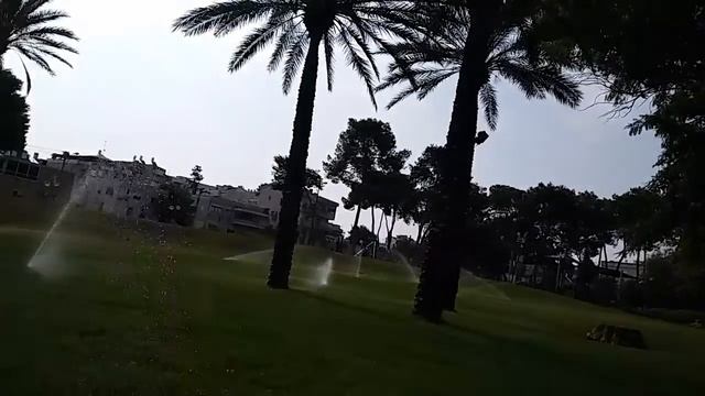 Полив травы в парке.