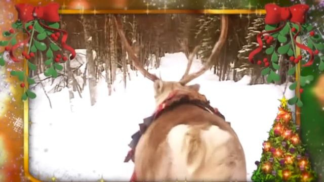 "Новогодний карнавал". Поёт В.Сёмин, группа "Белый день" смотреть онлайн