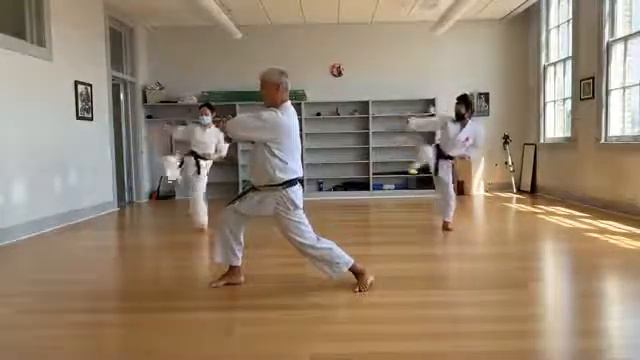 Karate@Home Class 08 22 21 with Kyriakos Papadopoulos смотреть онлайн