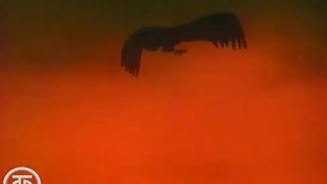 В мире живой природы_