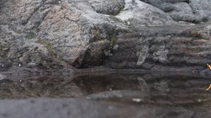 Легенда озера Тургояк