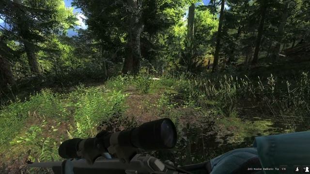 The Hunter - В мире животных смотреть онлайн