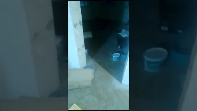 Как вы делите зарплату внутри бригады?. 2.12.2023. Иркутск. смотреть онлайн