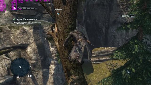 Assassin's Creed Rogue GTX 750 2 GB, 8 RAM, AMD PHENOM II X4 B45 3,7 GHz смотреть онлайн