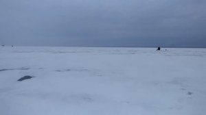 Ловля судака на Финском заливе. Зимняя рыбалка на раттлин