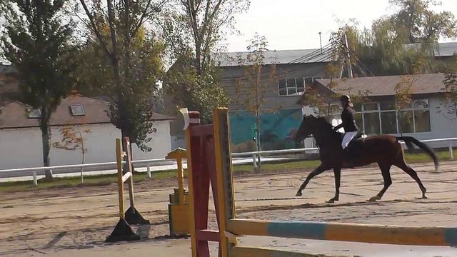 Некрасова Юлия и Карат, 110 см, Кубок КСК "Тулпар-Алматы", Алматы, 15.10.2021 смотреть онлайн