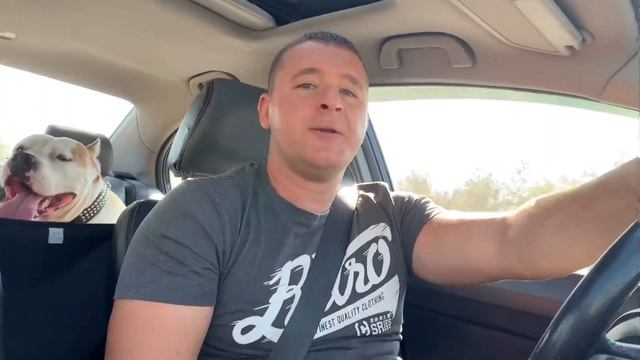 Боль в спине после долгой поездки в автомобиле или в автобусе смотреть онлайн