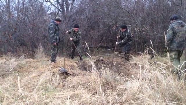 17.11.2014. село Дитятки. Лошадь Пржевальского попала в яму. смотреть онлайн