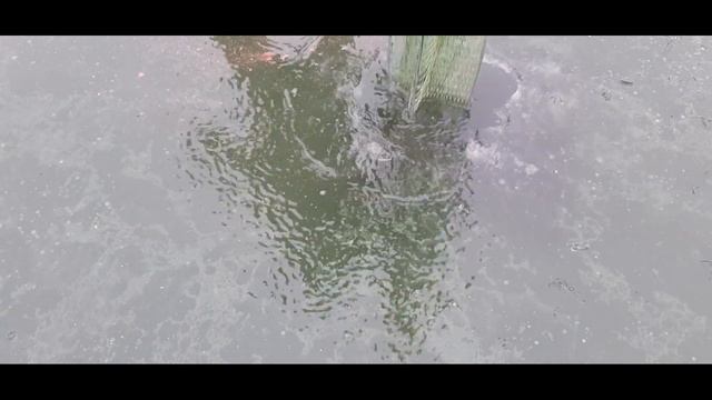 ХАПУГА по ПЕРВОМУ ЛЬДУ. Ловля рыбы со льда зимним пауком хапуга-хлопок. смотреть онлайн