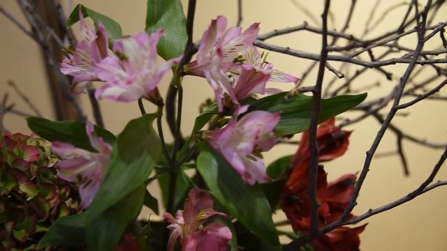 В КАДРЕ ИКЕБАНА