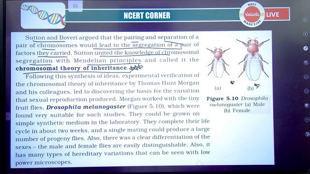 Principles of Inheritance and Variation L5 | NEET Biology | NEET in 140 days | Class 12 #neet2024 смотреть онлайн
