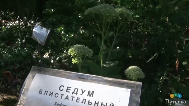 Санаторий Белые ночи (Краснодарский край, г.Сочи) смотреть онлайн