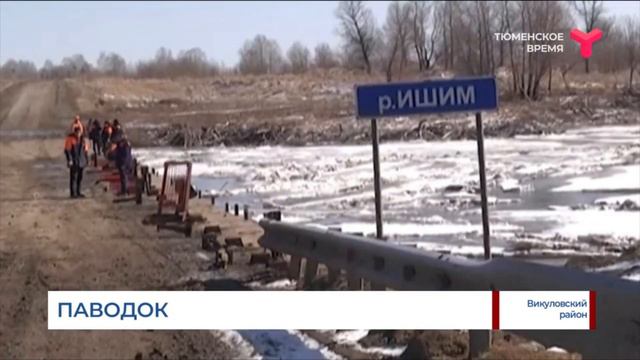 Паводок в Викуловском районе смотреть онлайн