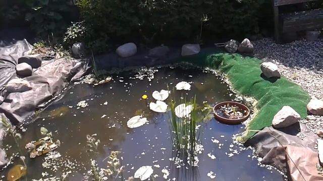 Как сделать своими руками Пруд на даче? смотреть онлайн