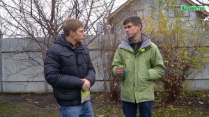 Железный или медный купорос: что и для чего лучше?