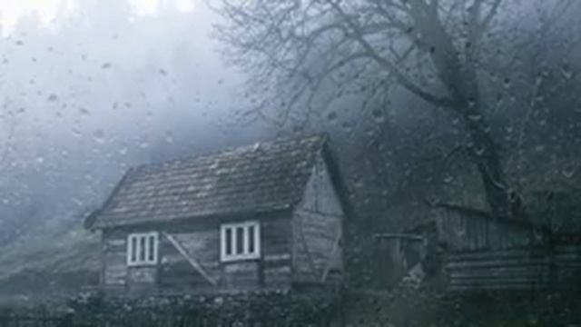 99% засыпают мгновенно - шум дождя на крыше в тропическом лесу   звук дождя для сна