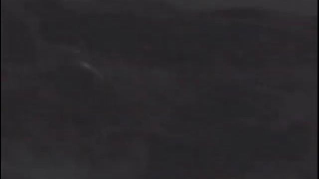 Тепловизор: Лисица смотреть онлайн