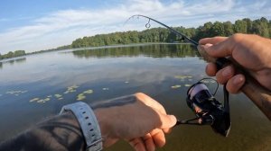 Ловля окуня на дамбе/Perch fishing on the dam