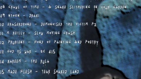 Experiments with Extremities #14