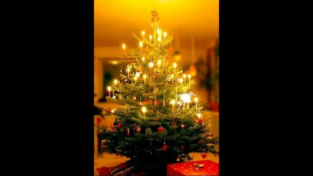 В лесу родилась ёлочка. Олег Зацепин. Баян смотреть онлайн