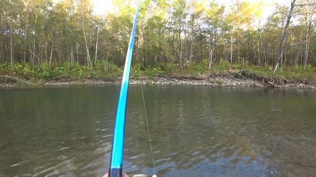 Рыбалка , просто огонь ?. Осенняя кунджа. смотреть онлайн